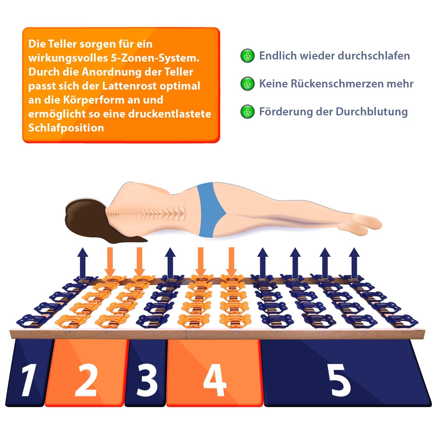 Coemo 5-Zonen Tellerlattenrost Tallrik starr Made in Germany