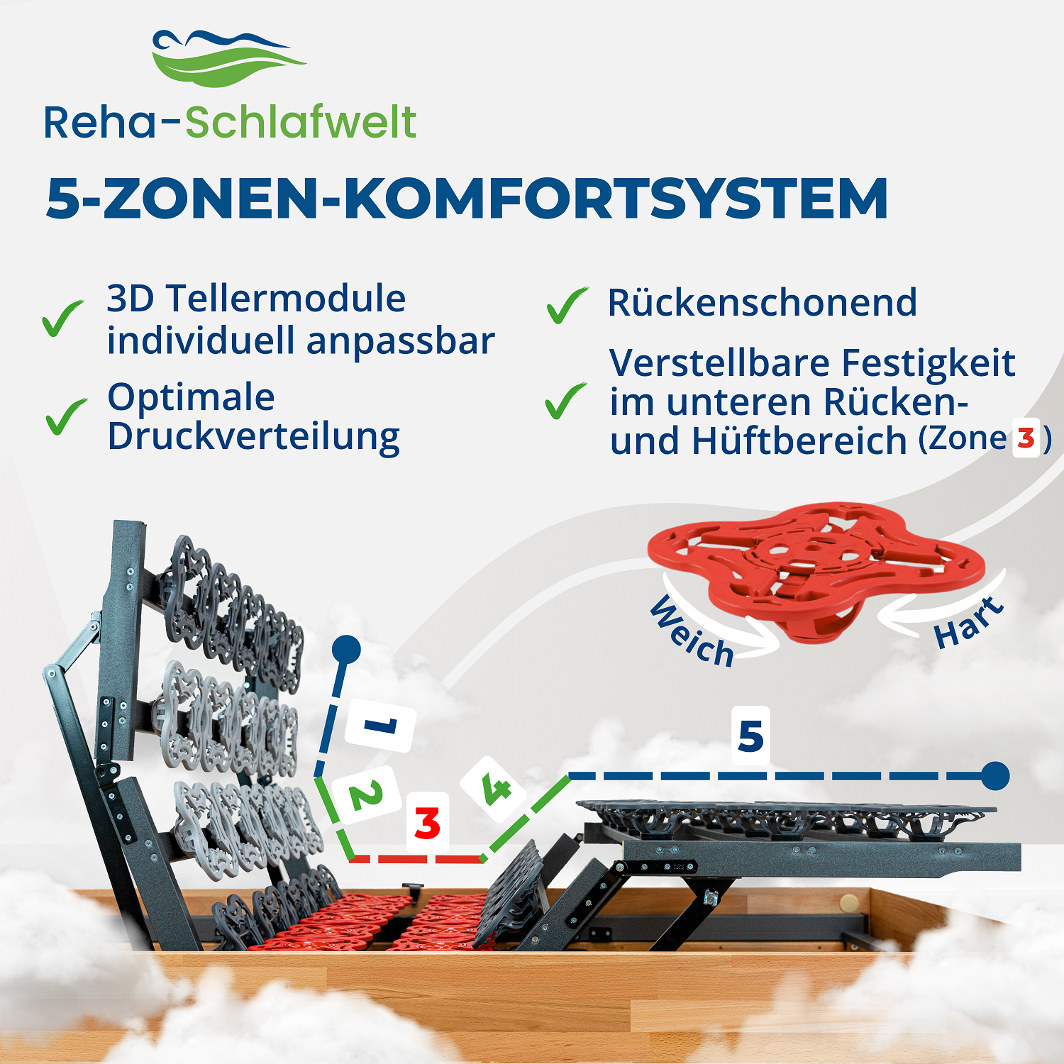 Reha-Schlafwelt Tellerlattenrost AEROBALANCE KF mit Motor Lattenrost elektrisch verstellbar fertig montiert