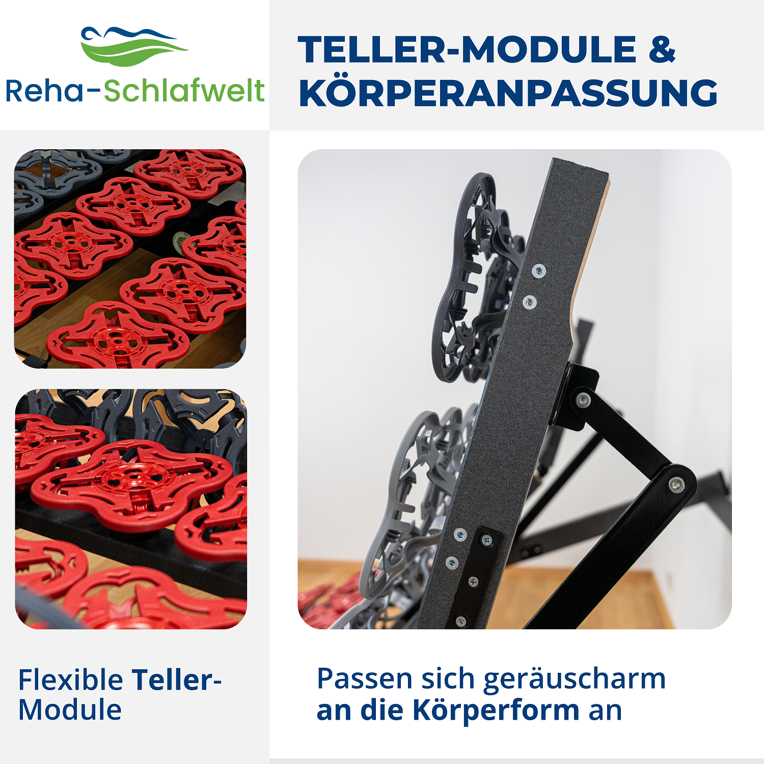 Reha-Schlafwelt Tellerlattenrost AEROBALANCE KF mit Motor Lattenrost elektrisch verstellbar fertig montiert
