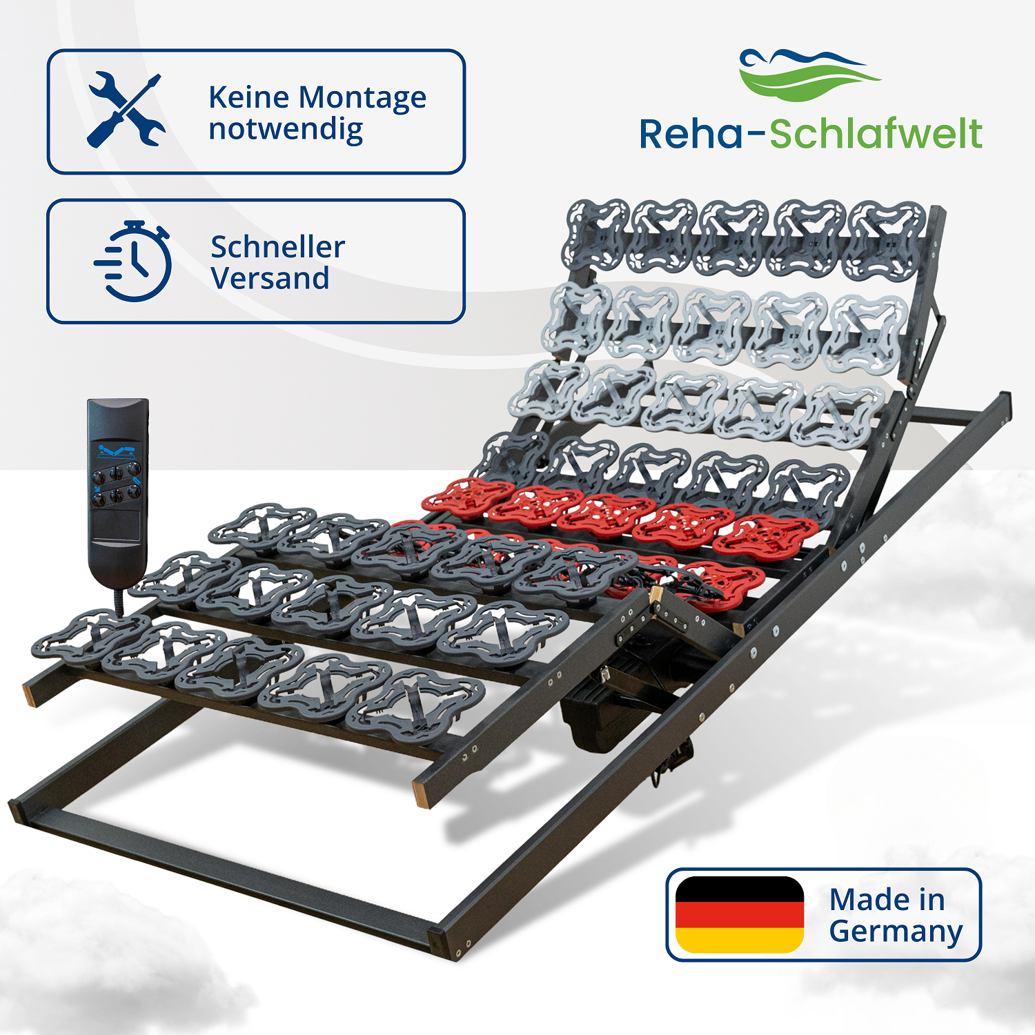 Reha-Schlafwelt Tellerlattenrost AEROBALANCE KF mit Motor Lattenrost elektrisch verstellbar fertig montiert