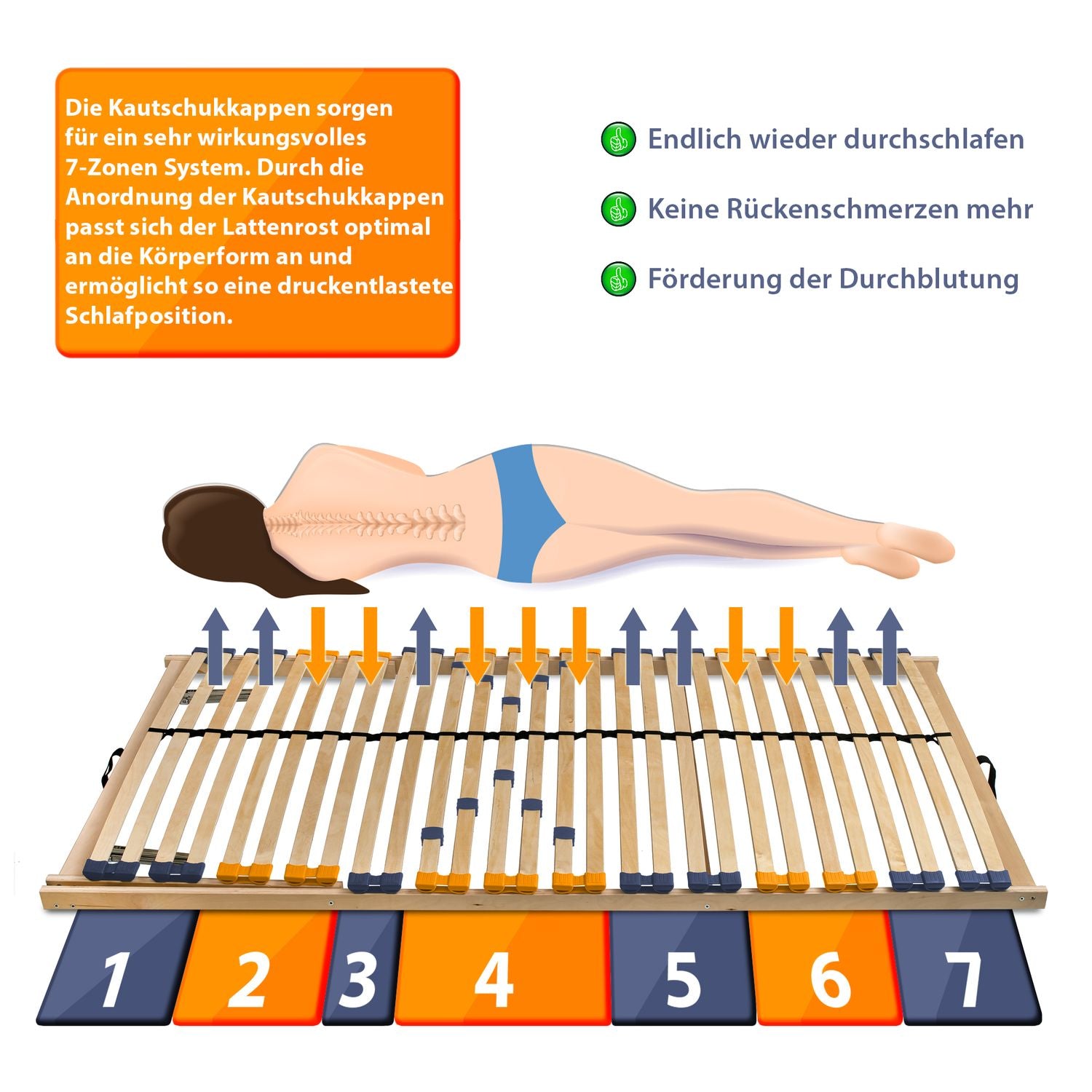 Coemo 7 zones lattenbodem MULTIRA - stijf, 28 latten lattenbodem, middengordel, 70 x 200 cm, voordelig bouwpakket Coemo 7 zones lattenbodem MULTIRA - stijf, 28 latten lattenbodem, middengordel, 70 x 200 cm, voordelig bouwpakket